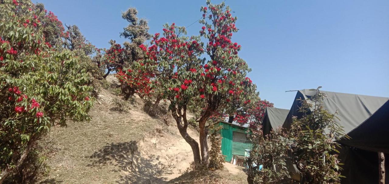 Chandarshila Hike Homestay Ukhimath 外观 照片