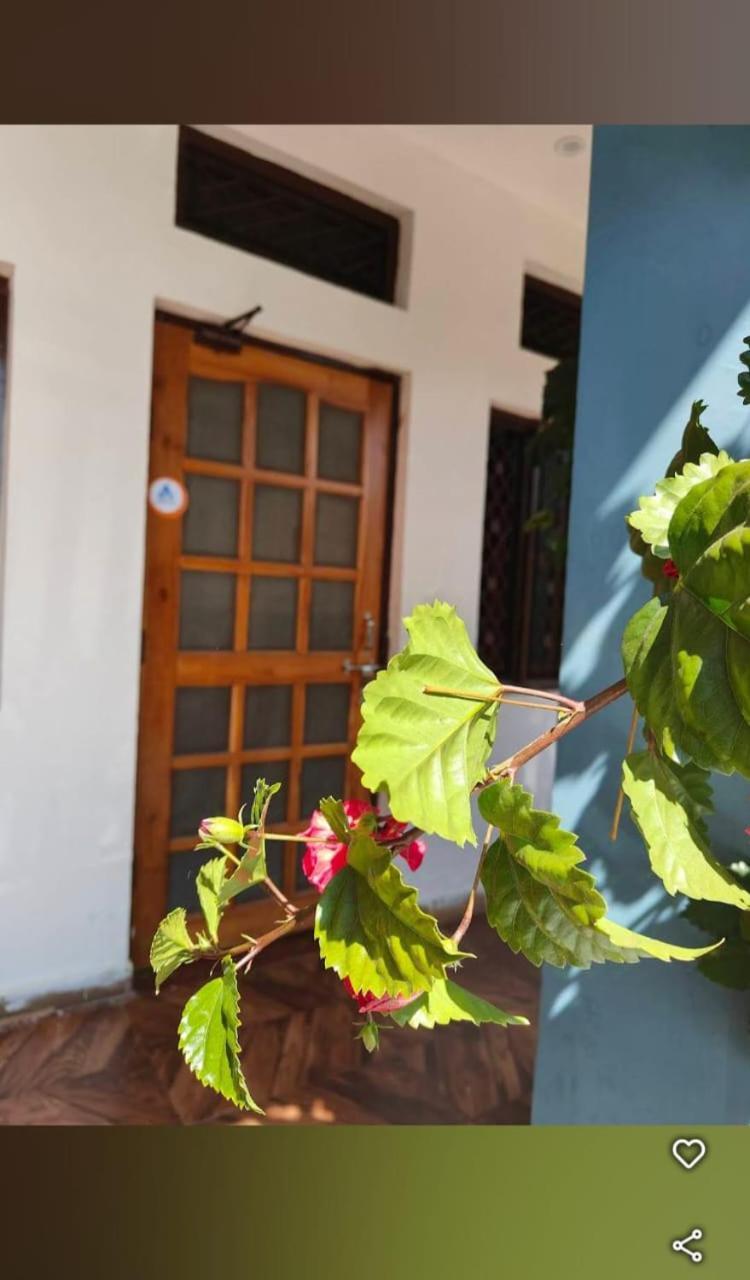 Chandarshila Hike Homestay Ukhimath 外观 照片